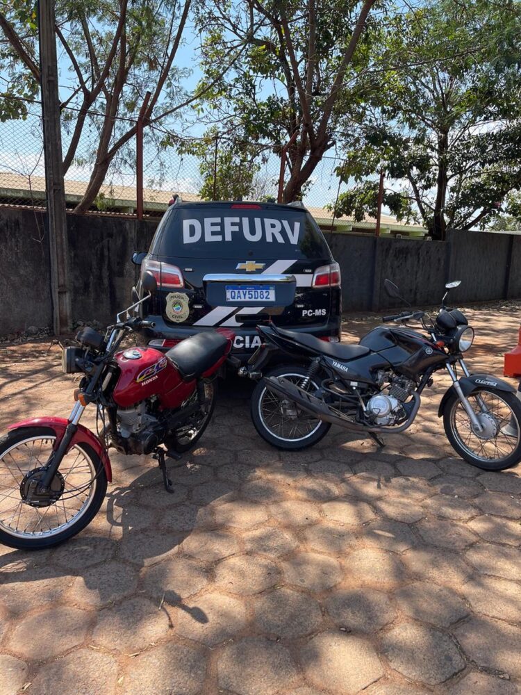 Seis veículos adulterados são apreendidos na Capital. Veja se o seu é um deles: