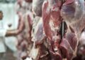 Exportações de MS somam US$ 7,24 bilhões até agosto e carne bovina cresce 43,7% no acumulado do ano