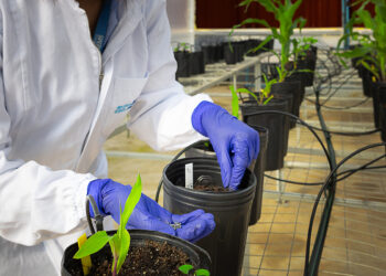 Senai-MS amplia linha de pesquisa e moderniza laboratório em Três Lagoas