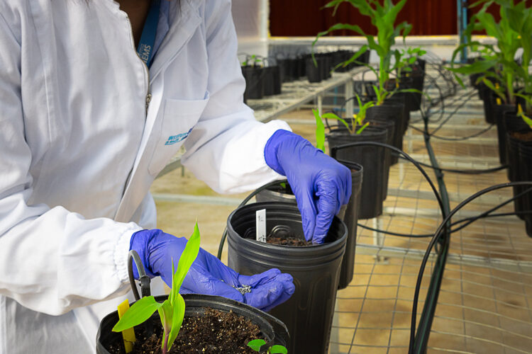 Senai-MS amplia linha de pesquisa e moderniza laboratório em Três Lagoas