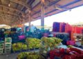 Mato Grosso do Sul amplia participação na Ceasa, com aumento de 18,78 % no volume comercializado