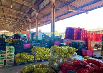 Mato Grosso do Sul amplia participação na Ceasa, com aumento de 18,78 % no volume comercializado