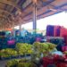 Mato Grosso do Sul amplia participação na Ceasa, com aumento de 18,78 % no volume comercializado