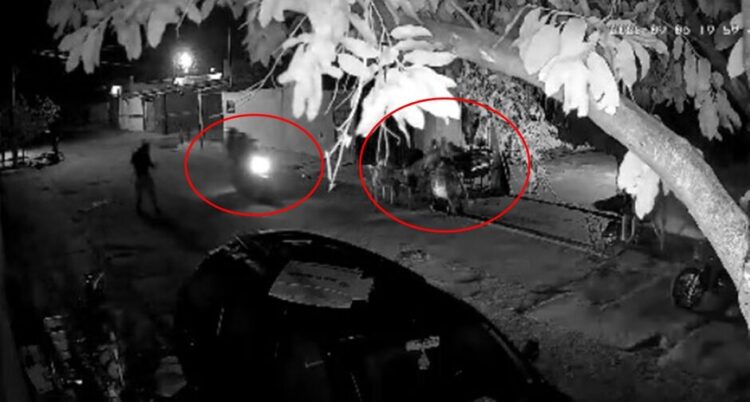 Adolescente de 15 anos morre e irmão de 14 é baleado em ataque na Vila Nhanhá