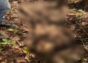 Ossada de homem é encontrada em brejo de área de preservação de Maracaju