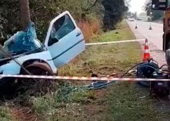 Capivara News TV: VW Gol “abraça” coqueiro, contrabandista morre e outro fica ferido na MS-276