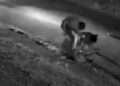 Capivara News TV: Vídeo mostra mulher trans e homem matando Evandro a golpes de faca em Mundo Novo