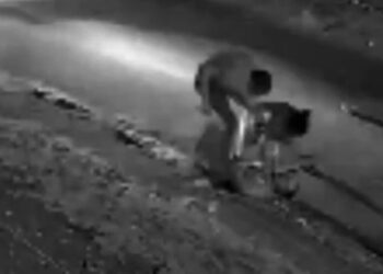 Capivara News TV: Vídeo mostra mulher trans e homem matando Evandro a golpes de faca em Mundo Novo