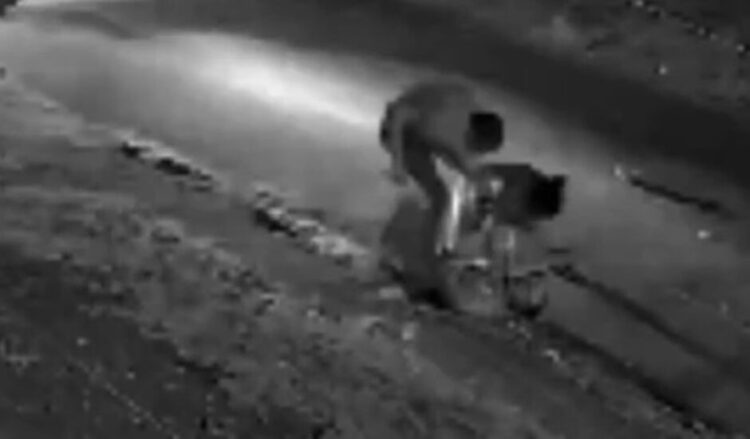 Capivara News TV: Vídeo mostra mulher trans e homem matando Evandro a golpes de faca em Mundo Novo