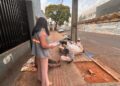 Censo é realizado na Capital com população de rua para fortalecer políticas públicas
