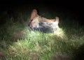 Capotamento de caminhonete Hilux termina na morte de foragido em Ponta Porã