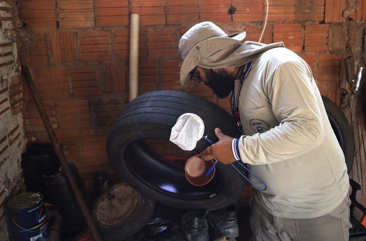 Boletim Epidemiológico: MS registra 8.172 casos confirmados de dengue