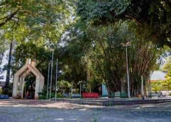 Av. Ernesto Geisel é interditada para remoção de árvores do Horto em Campo Grande