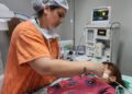 Referência estadual, Centro de Endoscopia Avançada do HRMS alerta para riscos da ingestão de cáusticos