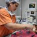 Referência estadual, Centro de Endoscopia Avançada do HRMS alerta para riscos da ingestão de cáusticos