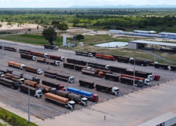 Com ambiente próspero e positivo, MS abre caminhos e leva seus produtos aos países vizinhos