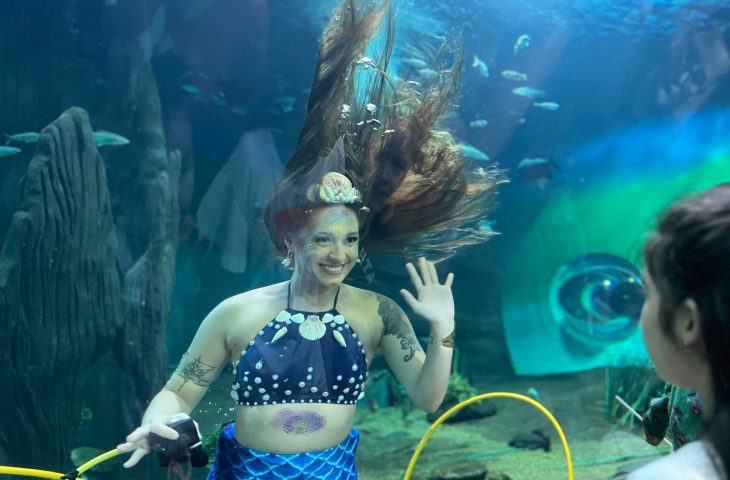 De passarinhada a mergulho de sereia e herói das águas: Bioparque divulga programação de sábado