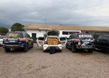Polícia Civil em operação conjunta com a PRF apreende carga de maconha e cigarro na Capital