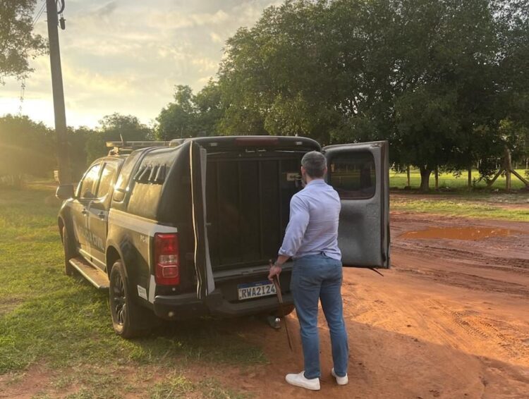 Polícia prende homem que desferiu golpes de foice contra a própria mãe em Caarapó