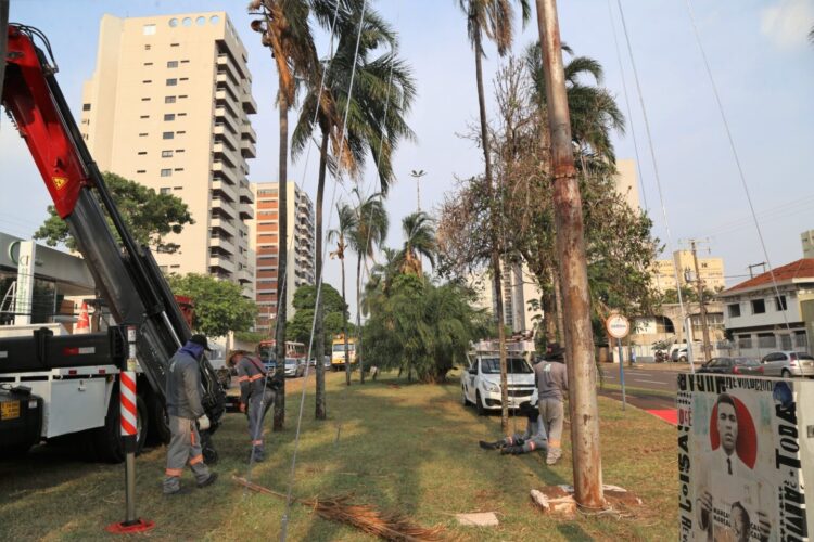Prefeitura gastará mais de R$1,7 milhão com decoração natalina em Campo Grande