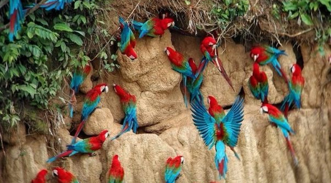 Destinos turísticos de MS ganham destaque no workshop ‘Belo Horizonte Tá On 2025’