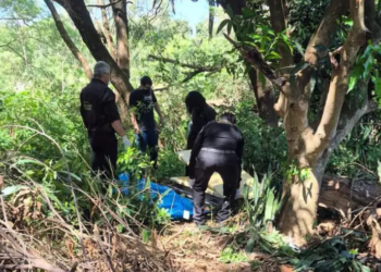 Corpo de homem desaparecido é encontrado coberto por folhas no fundo de casa em Naviraí