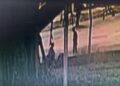 Capivara News TV: Vídeo mostra Delber matando Renato a golpes de faca em praça de Dourados