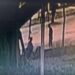 Capivara News TV: Vídeo mostra Delber matando Renato a golpes de faca em praça de Dourados