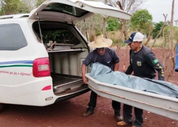 Mulher mata irmão com madeirada na cabeça para defender mãe da morte em Dourados