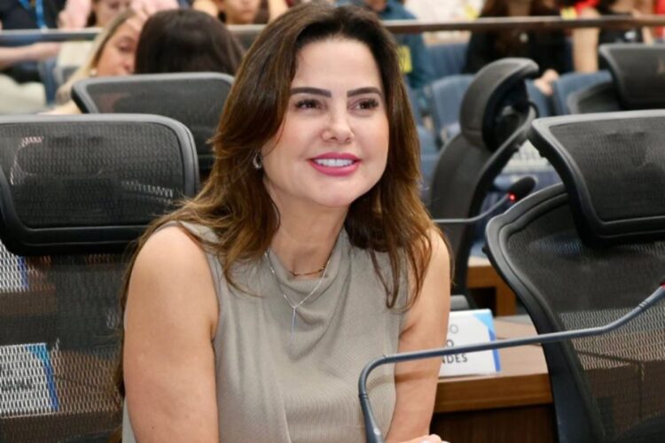 Mara Caseiro solicita reparos urgentes em ponte sobre o rio Morumbizinho