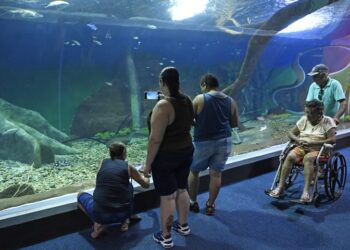 Bioparque Pantanal recebe selo internacional “ouro” por sustentabilidade e se destaca entre atrativos turísticos mundiais