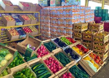 Ceasa de MS chega aos 46 anos conectando produtores e comerciantes, impulsionando a economia local