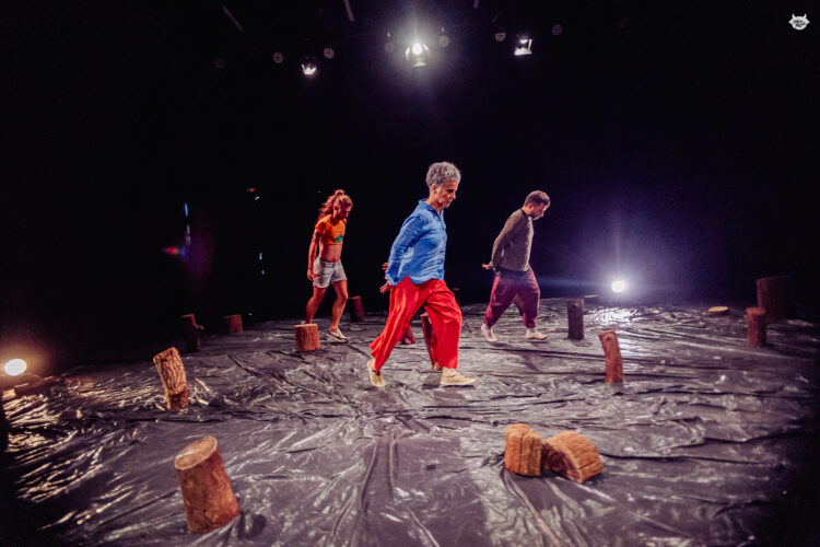 De Campo Grande ao Piauí: artistas levam espetáculo ‘Cabeça de Toco’ ao Festival TRISCA