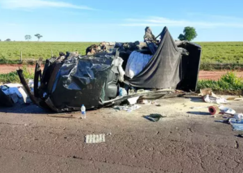 Mulher e cachorro morrem em colisão de caminhonete com carreta na MS-040