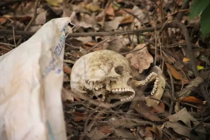 Ao procurar galão em mata, caminhoneiro encontra crânio humano no Anel Rodoviário da Capital