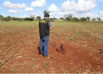 Polícia identifica corpo encontrado e autor preso diz que matou com machadada na cabeça