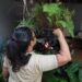Contra o mosquito, todos do mesmo lado: MS realiza ‘Dia D’ de Combate à Dengue