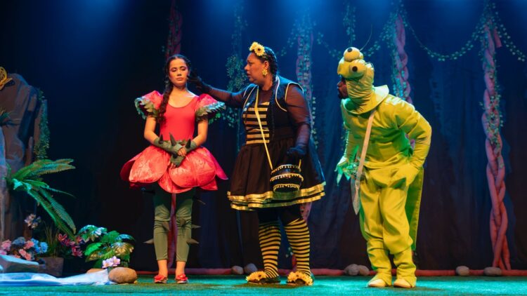 CRAS Hércules Mandetta recebe na sexta-feira espetáculo gratuito “No Vale dos Sentimentos Perdidos”