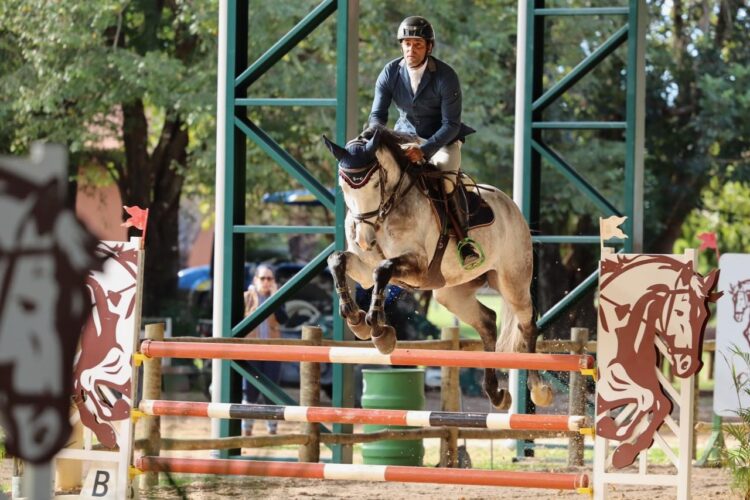 Sindicato diz que horário especial do comércio para o fim de ano ainda não foi definido