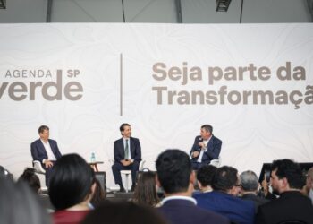 Painel Summit: Riedel e Tarcísio discutem economia verde e desenvolvimento sustentável em SP