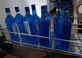 Mulheres são flagradas esvaziando e lavando garrafas de vodka em fábrica clandestina em Terenos