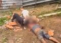 Capivara News TV: Homem é morto por cães da raça Pitbull em lote residencial