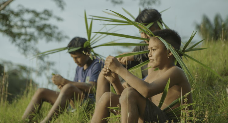 15ª Mostra Cinema e Direitos Humanos chega a Campo Grande com filmes e debates preservação do Cerrado