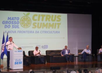 Com apoio do Estado e ambiente positivo, citricultura de MS avança como nova fronteira agrícola brasileira