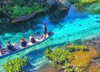 MS se consolida como referência em turismo sustentável, promoção e inteligência de mercado