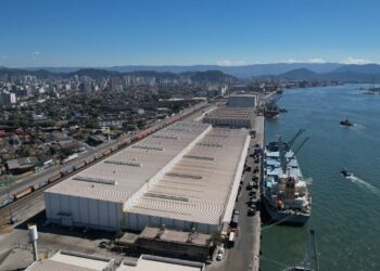 Suzano bate a marca de 5,5 milhões de toneladas de celulose exportadas nos seus terminais de Santos