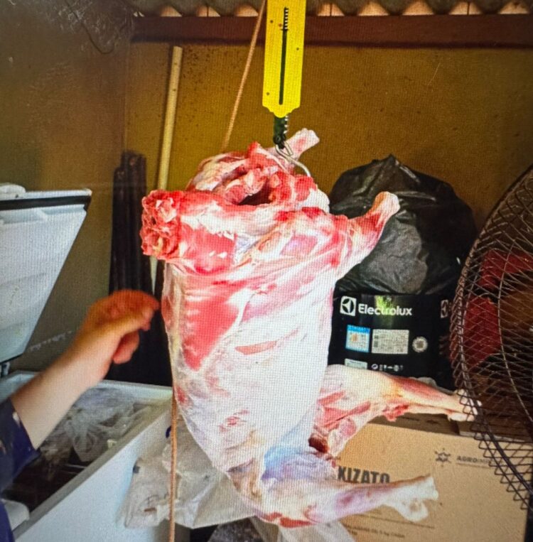 Polícia esclarece furto de carneiros em fazenda da região e prende autor em Anaurilândia