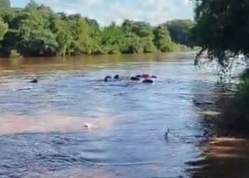 Motorista desaparece no Rio Apa, após caminhonete cair de balsa na fronteira