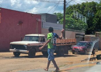 Capivara News TV: Vídeo mostra correria por ataque de abelhas em frente ao Mister Junior do São Conrado