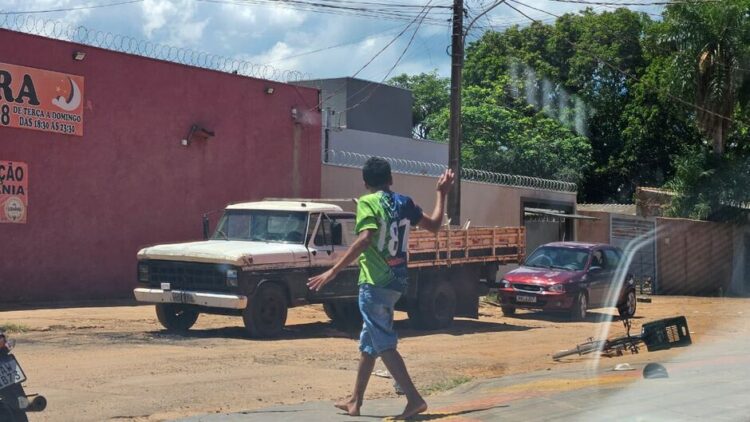 Capivara News TV: Vídeo mostra correria por ataque de abelhas em frente ao Mister Junior do São Conrado